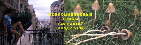 шишки Горно-Алтайск