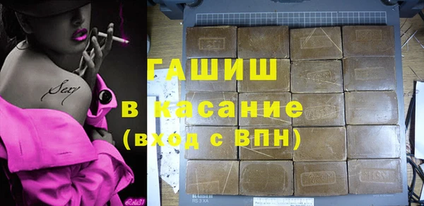 шишки Горно-Алтайск