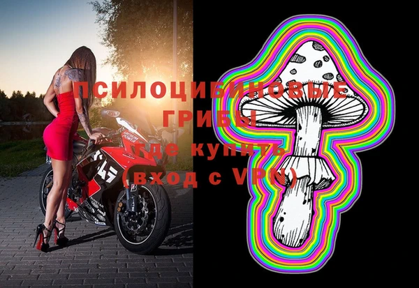 марки lsd Гусев