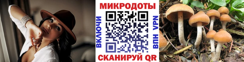 Псилоцибиновые грибы мухоморы  blacksprut ССЫЛКА  Дальнереченск 